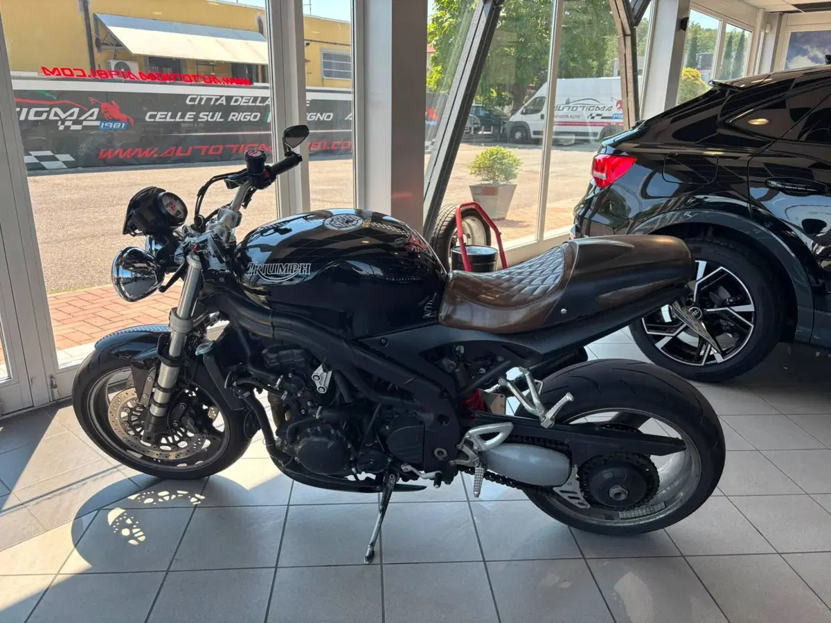 Triumph Speed Triple 955 (2002 - 04) (6)