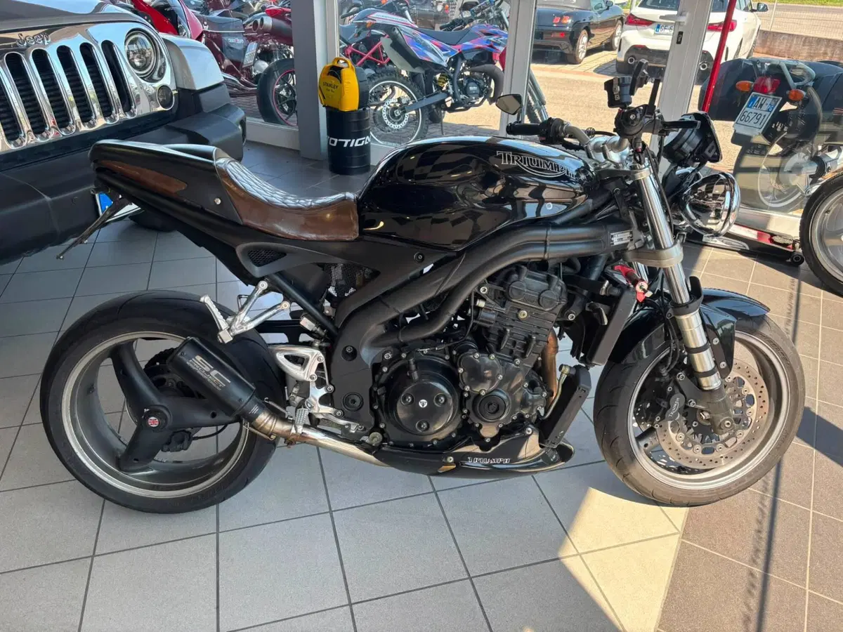 Triumph Speed Triple 955 (2002 - 04) (3)
