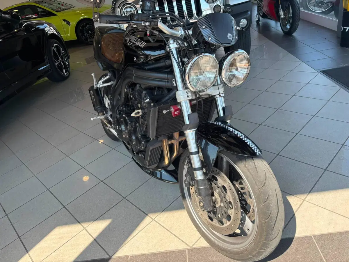 Triumph Speed Triple 955 (2002 - 04) (2)