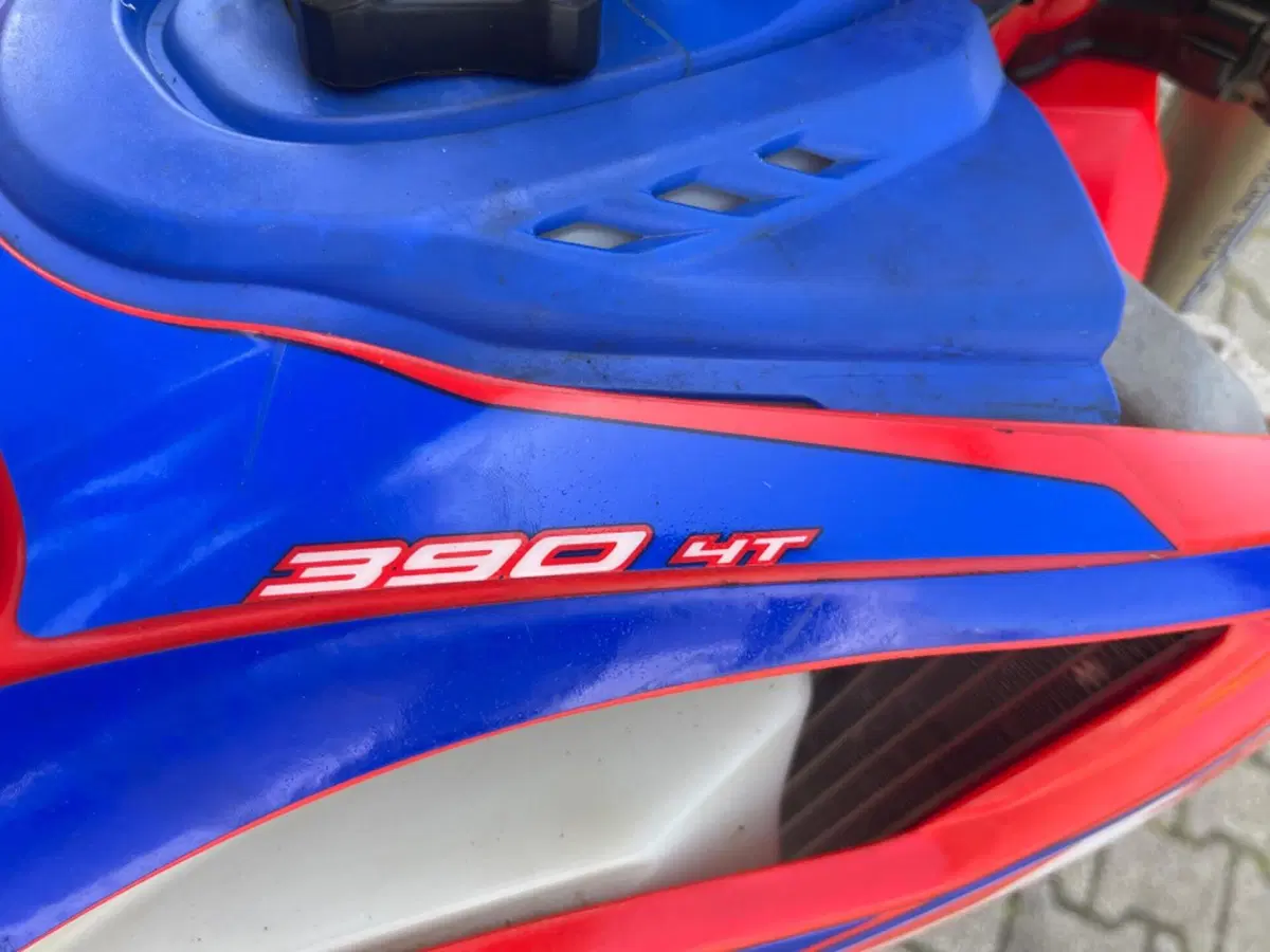 Betamotor RR 390 4T Enduro Racing (2022) (3)