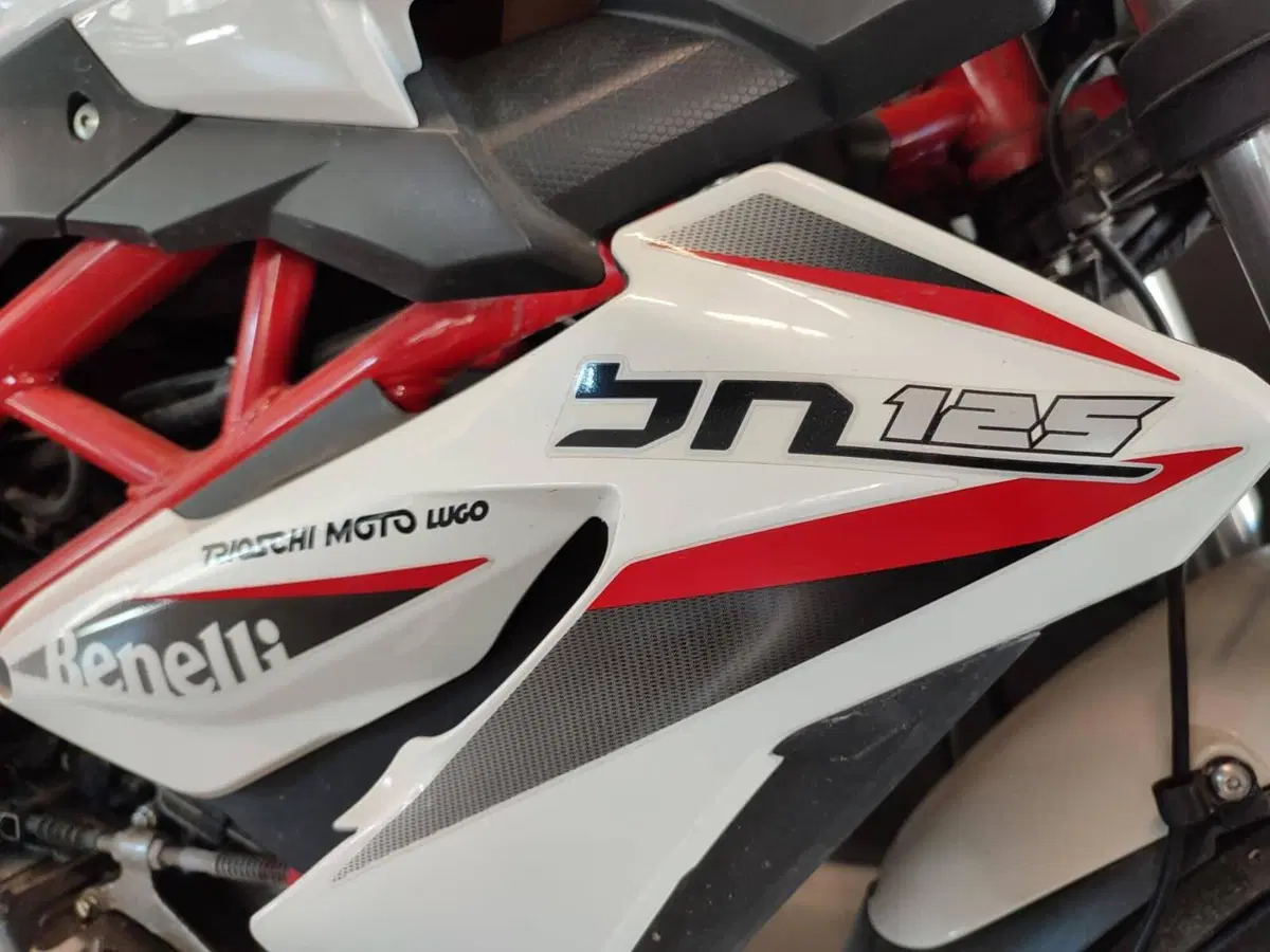 Benelli BN 125 (2021 - 25) (3)