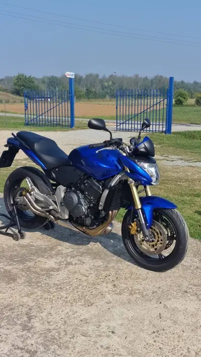 Honda Hornet 600 (2007 - 10) usata