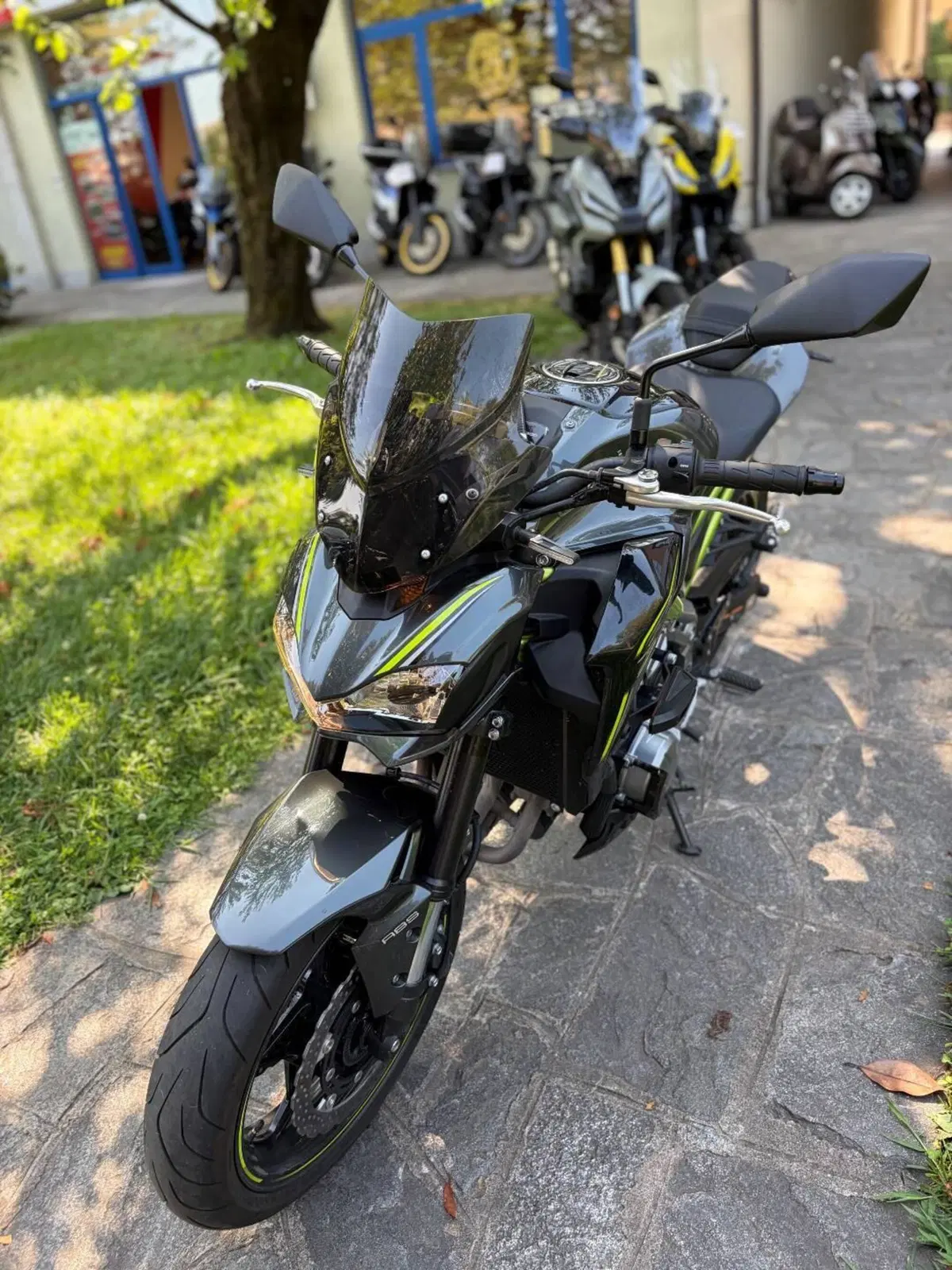 Kawasaki Z 900 (2019) (3)