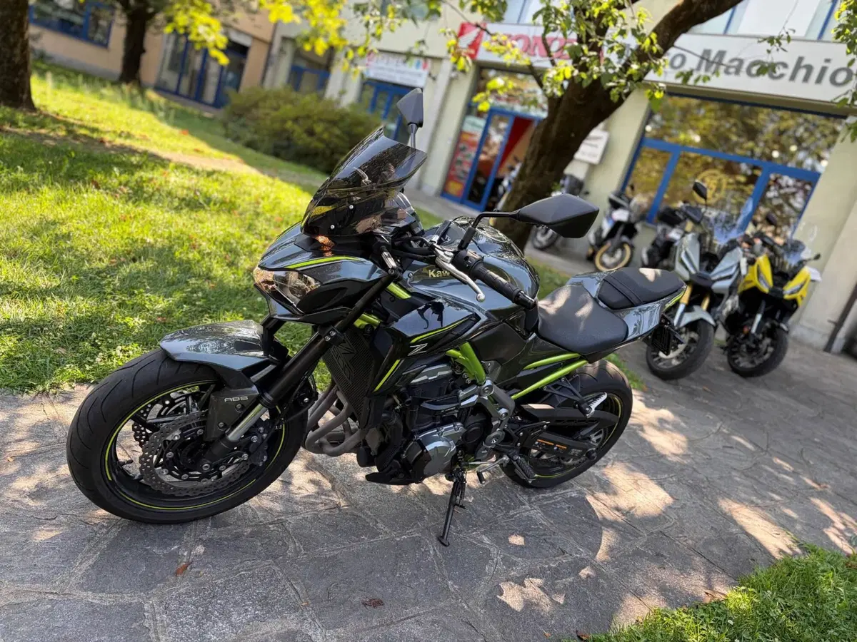 Kawasaki Z 900 (2019) (4)