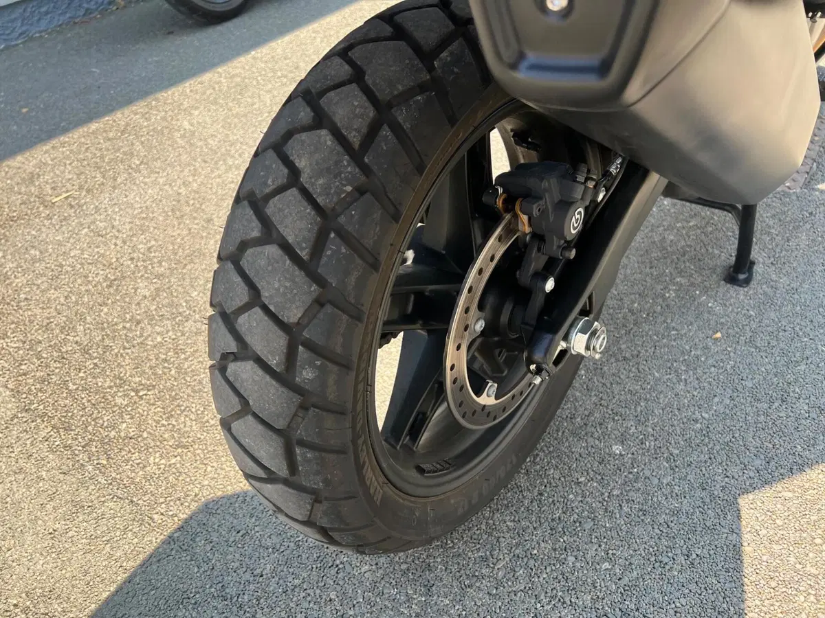 Harley-Davidson Pan America 1250 Special (2020 - 25) (19)