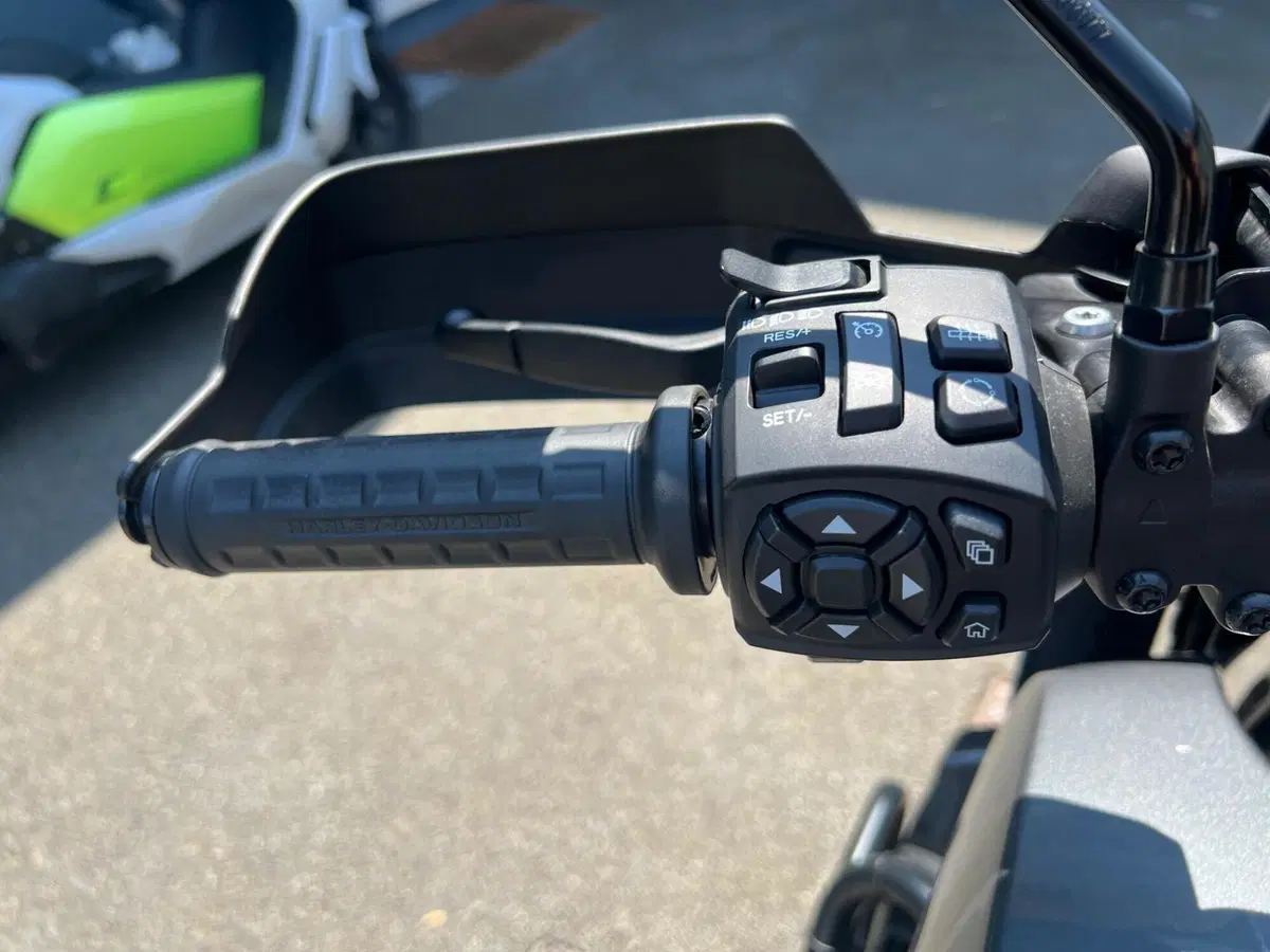 Harley-Davidson Pan America 1250 Special (2020 - 25) (13)