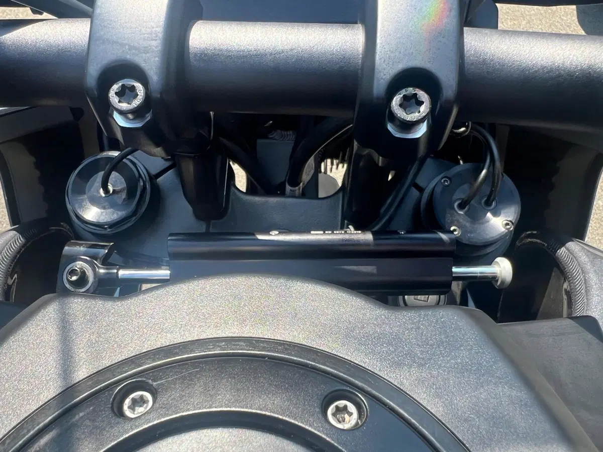 Harley-Davidson Pan America 1250 Special (2020 - 25) (14)