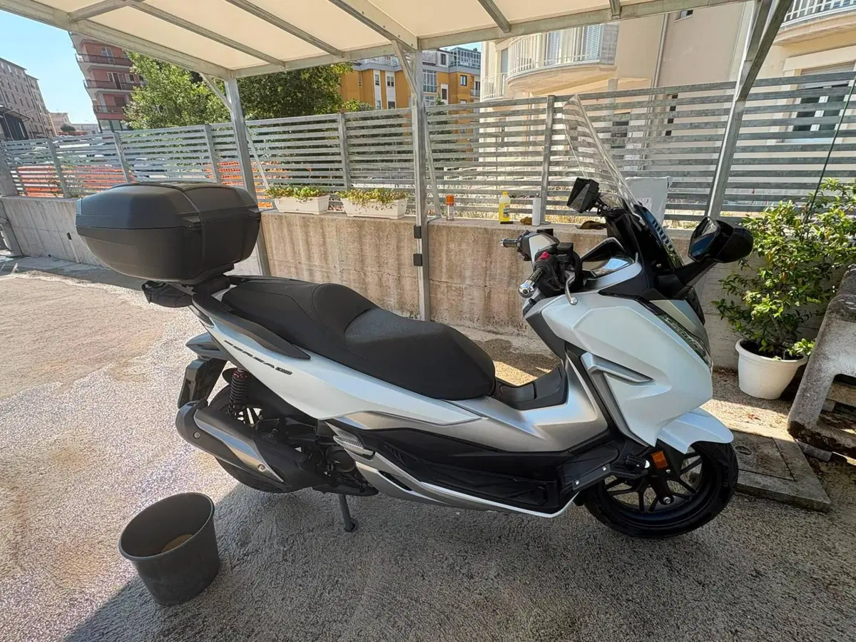 Honda Forza 300 (2019 - 20) (4)