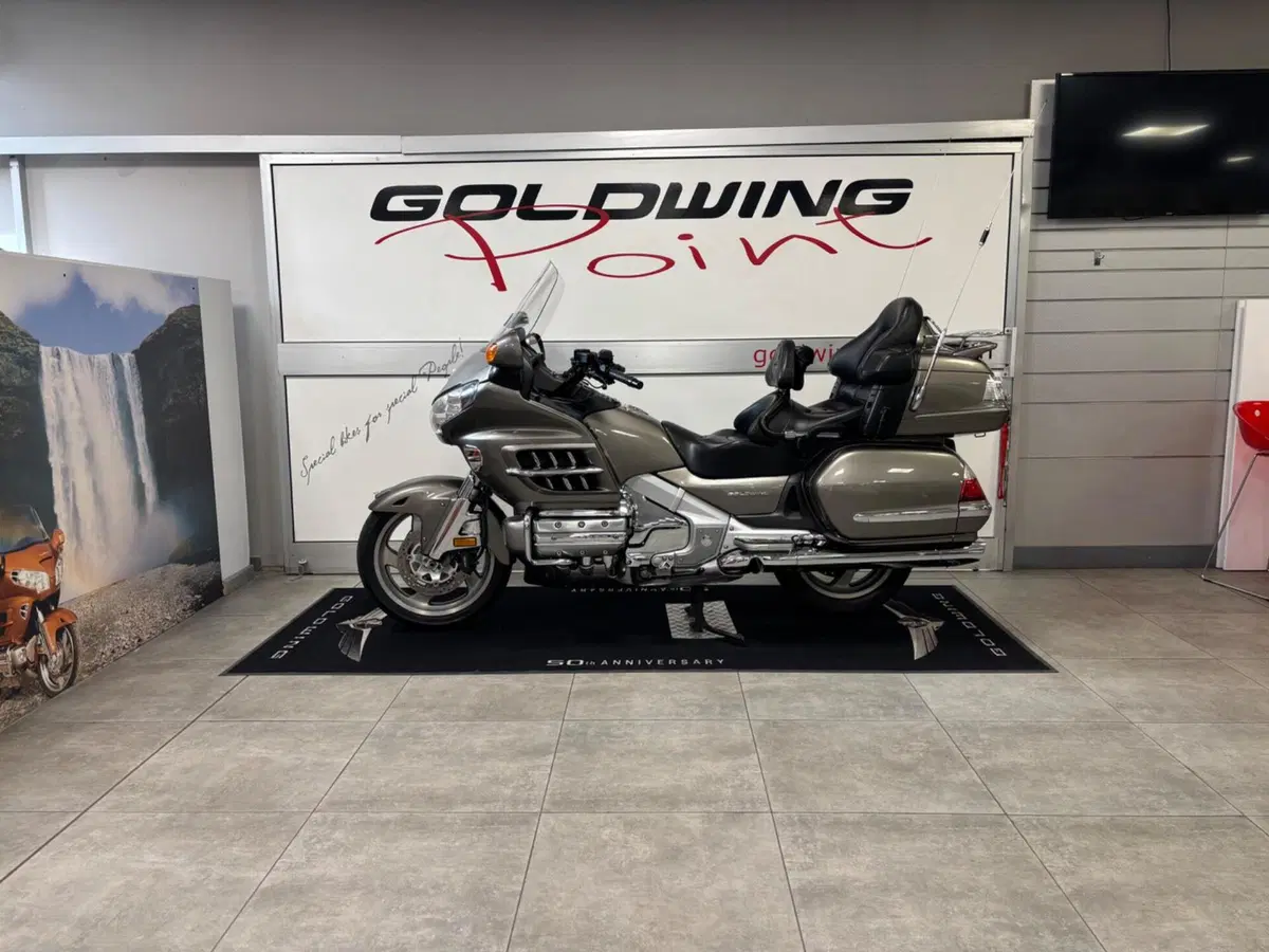 Honda GL 1800 Gold Wing (2007 - 11) (7)