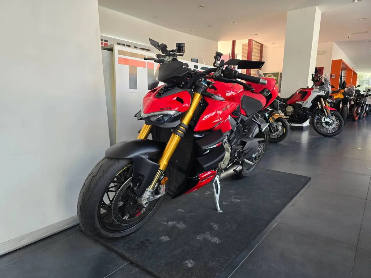 Ducati Streetfighter V4 S (2023 - 24) (4)