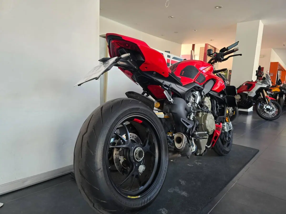 Ducati Streetfighter V4 S (2023 - 24) (8)