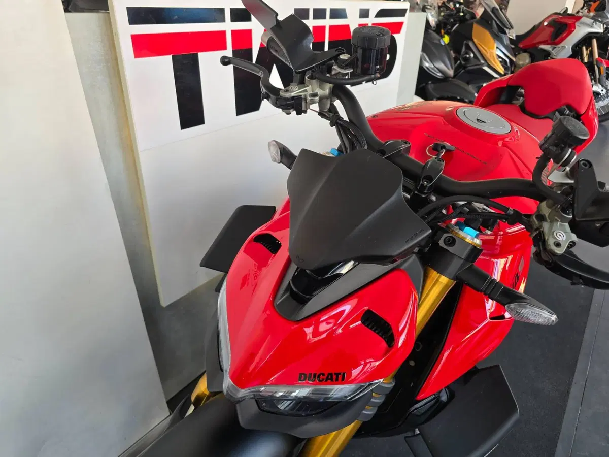 Ducati Streetfighter V4 S (2023 - 24) (14)