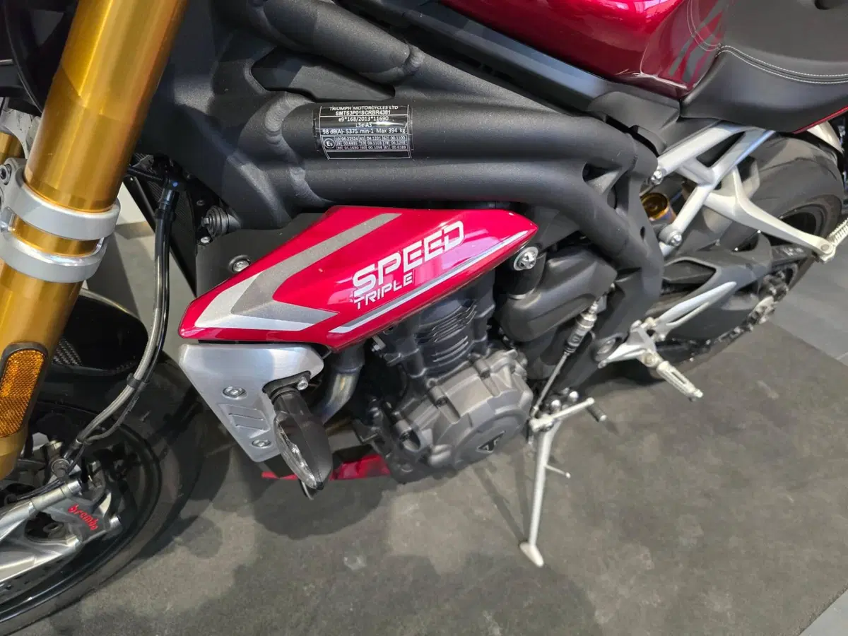 Triumph Speed Triple 1200 RS (2021 - 24) (13)