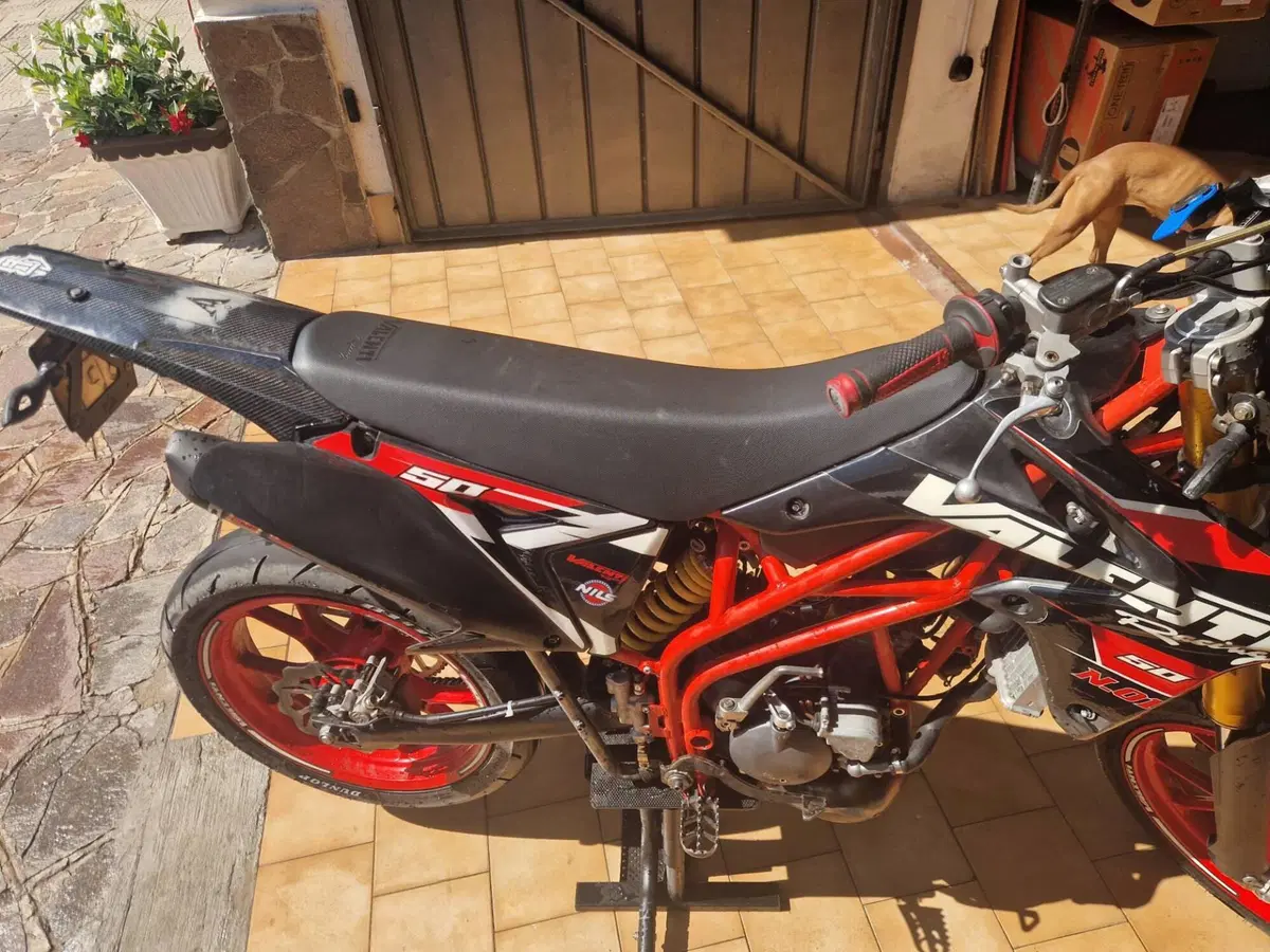 Valenti Racing N01 50 (2015 - 22) (3)