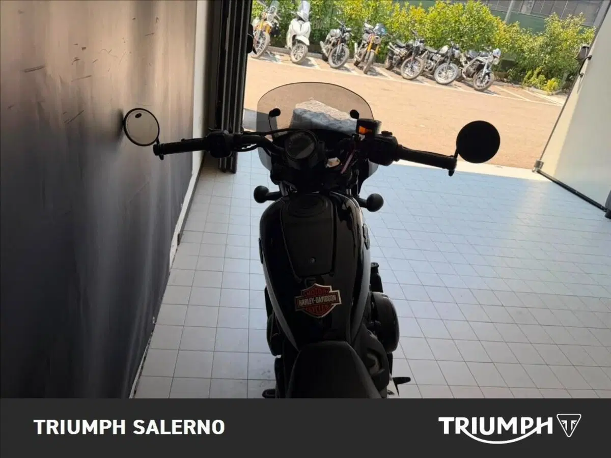 Harley-Davidson Nightster (2023 - 26) (6)