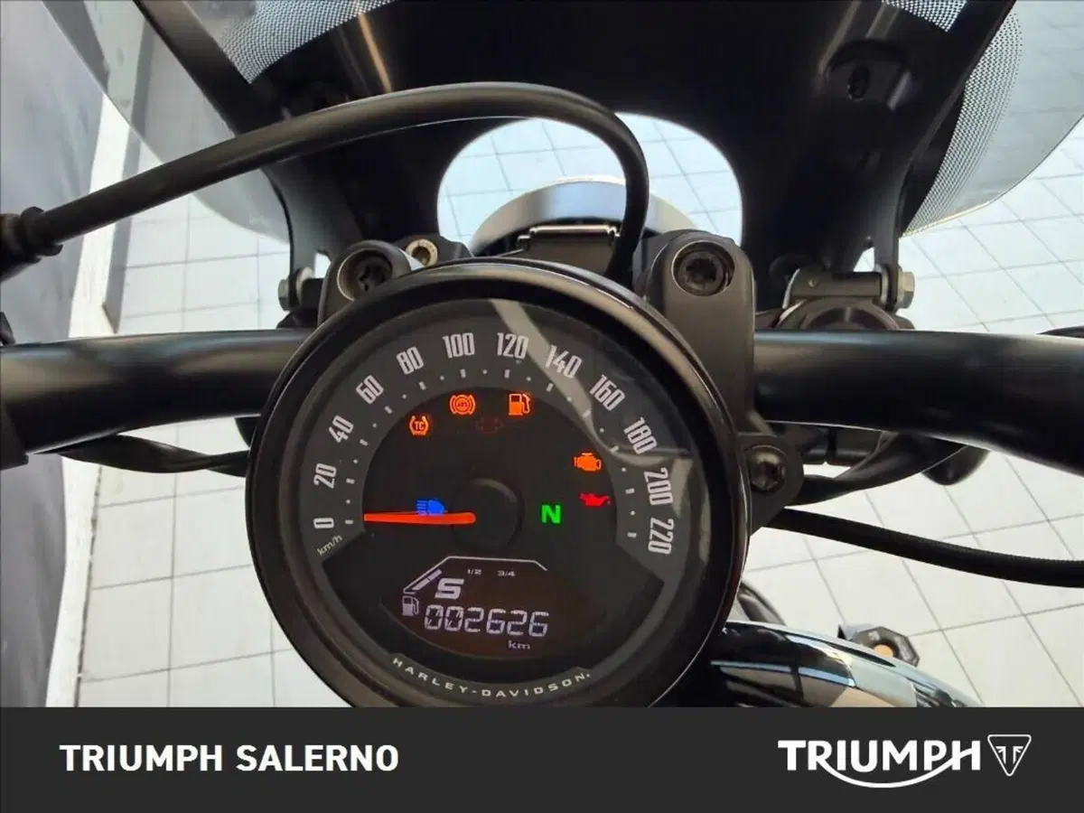 Harley-Davidson Nightster (2023 - 26) (7)