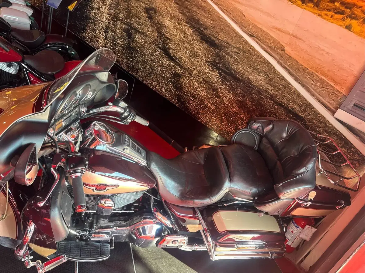 Harley-Davidson 1340 Electra Glide Ultra Classic (1994 - 98) - FLHTCU (5)