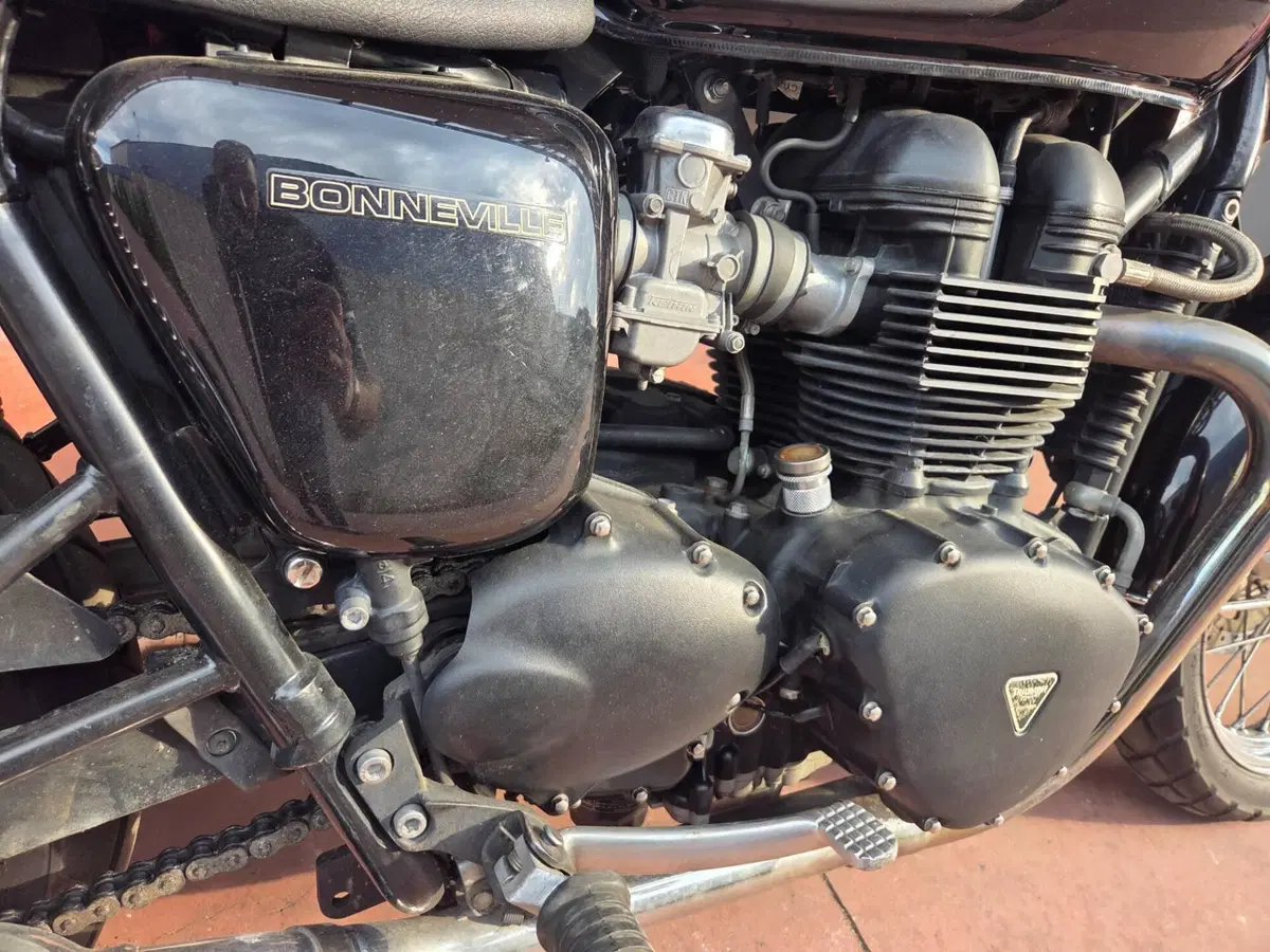 Triumph Bonneville (2007 - 16) (6)