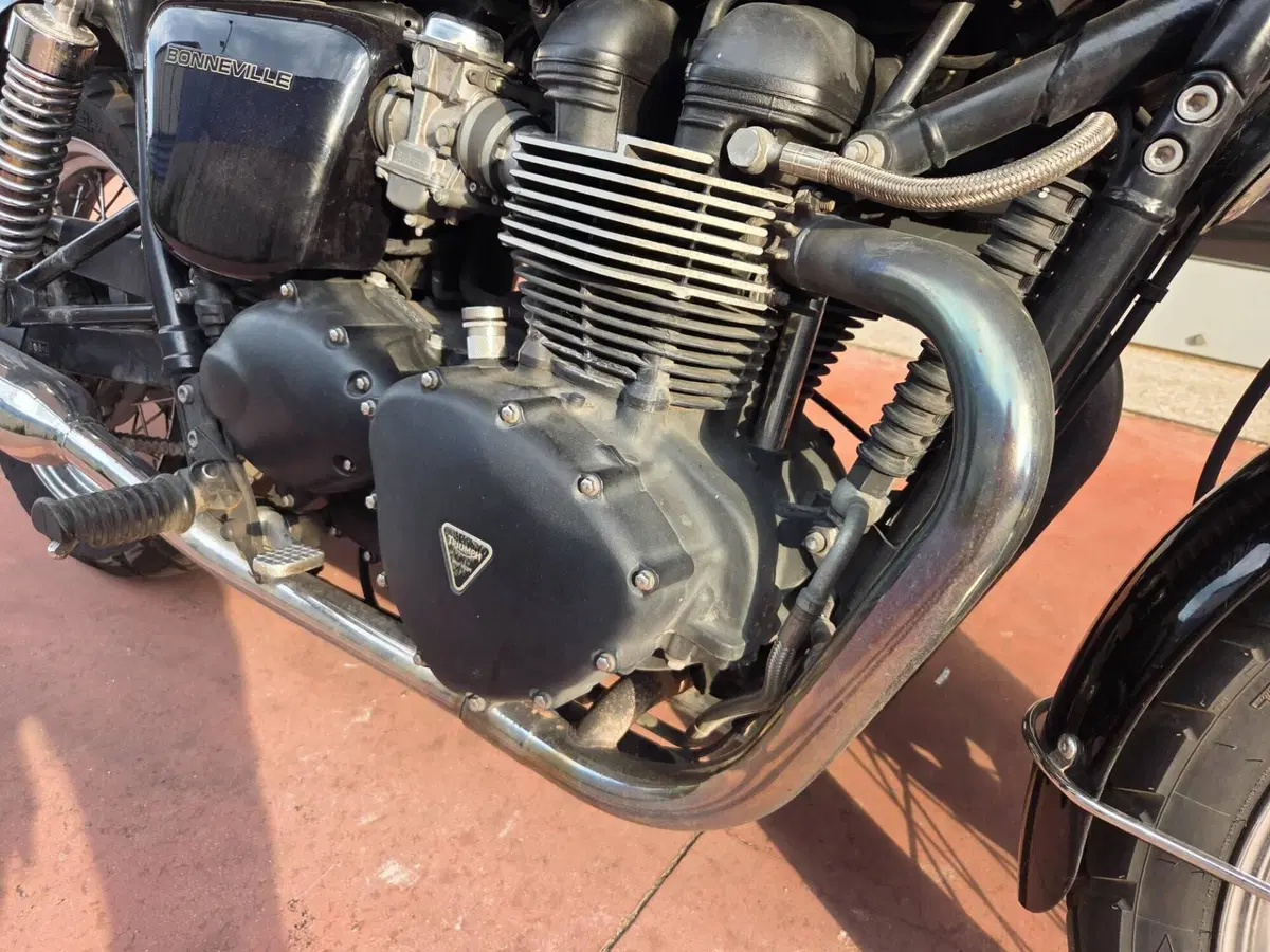 Triumph Bonneville (2007 - 16) (7)