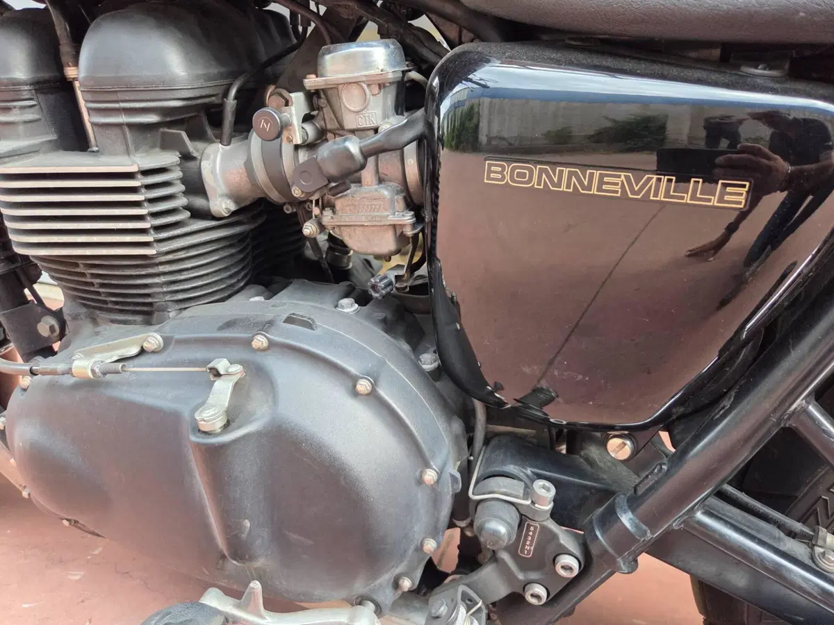 Triumph Bonneville (2007 - 16) (19)