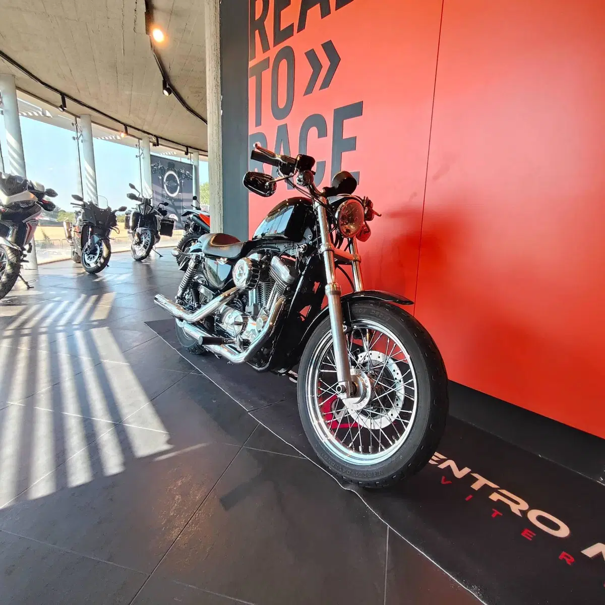 Harley-Davidson 883 (2008 - 09) - XL (6)