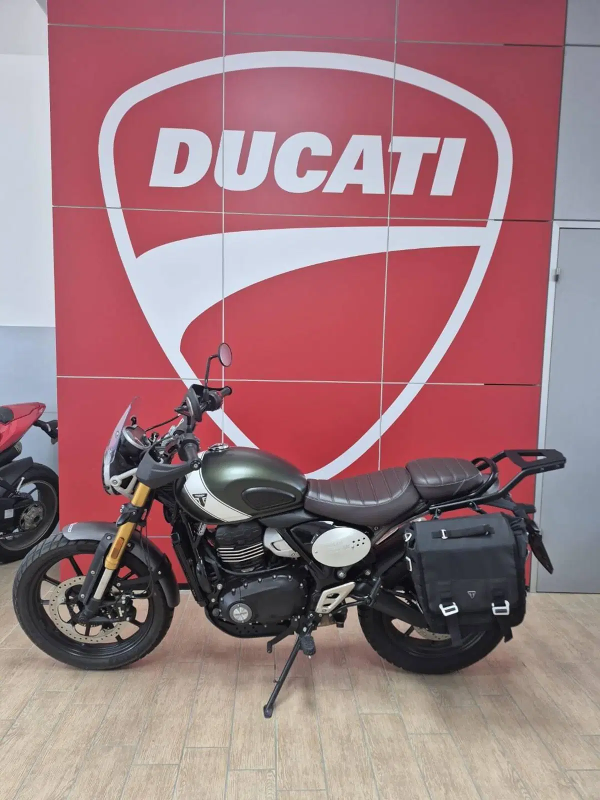 Triumph Scrambler 400 X (2024 - 26) (3)
