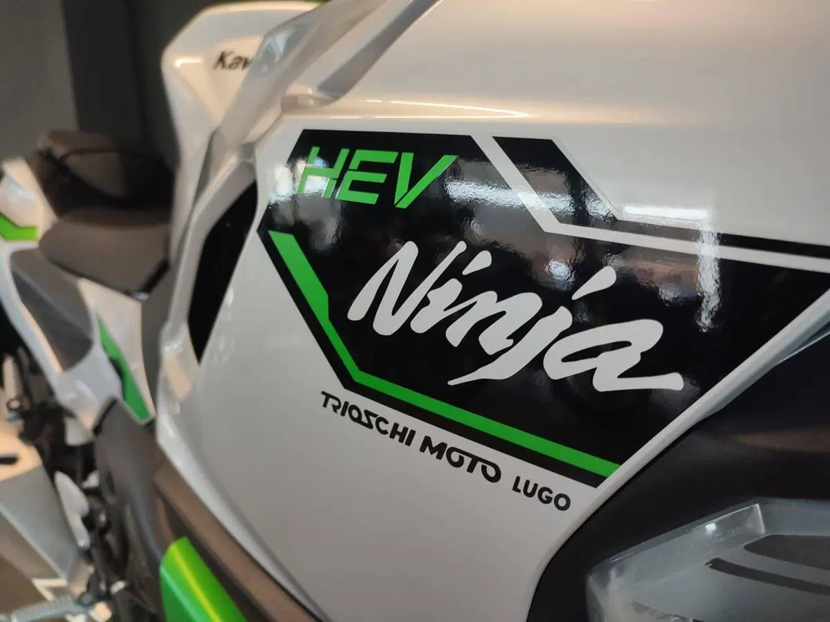 Kawasaki Ninja 7 Hybrid (2024 - 26) (3)