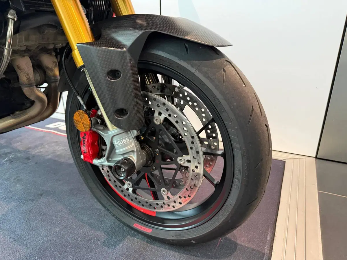 Ducati Multistrada V4 RS (2024 - 25) (3)