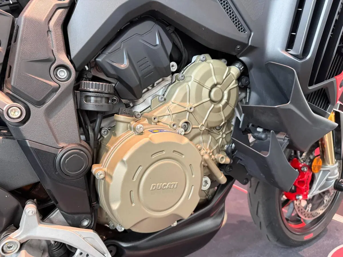 Ducati Multistrada V4 RS (2024 - 25) (4)