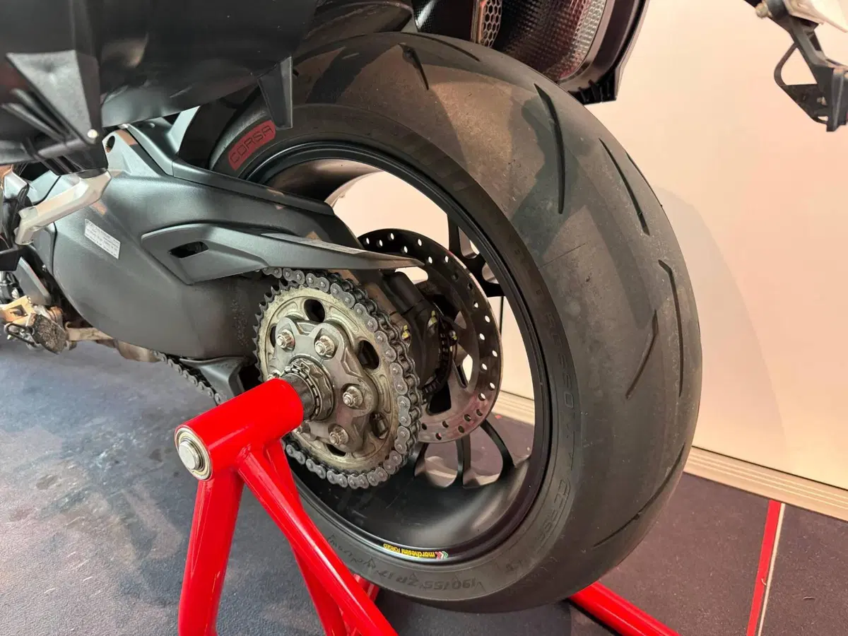Ducati Multistrada V4 RS (2024 - 25) (9)