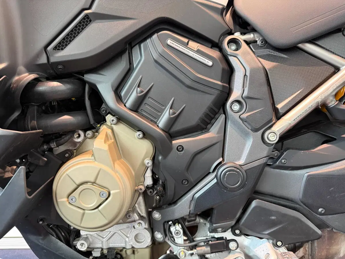 Ducati Multistrada V4 RS (2024 - 25) (10)