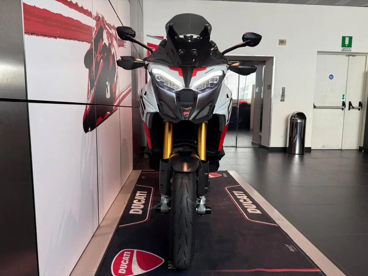 Ducati Multistrada V4 RS (2024 - 25) (14)