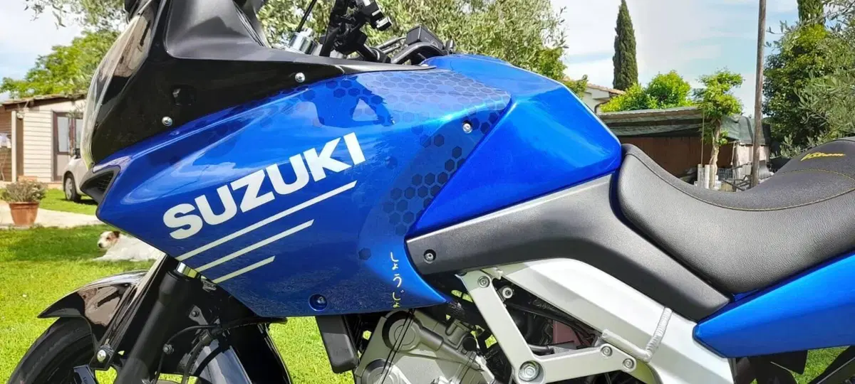 Suzuki V-Strom 650DL (2004 - 06) (5)