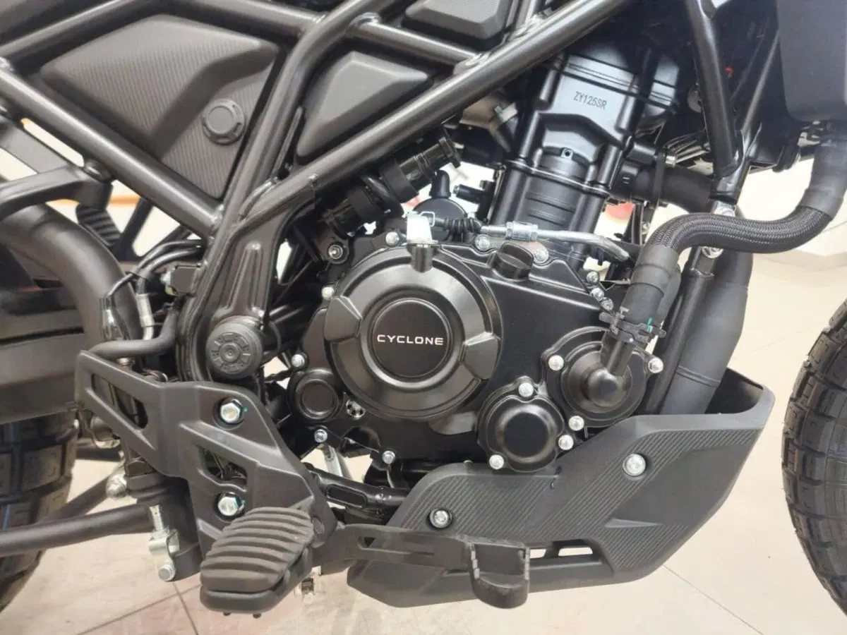 Cyclone RX2 (2026) (6)