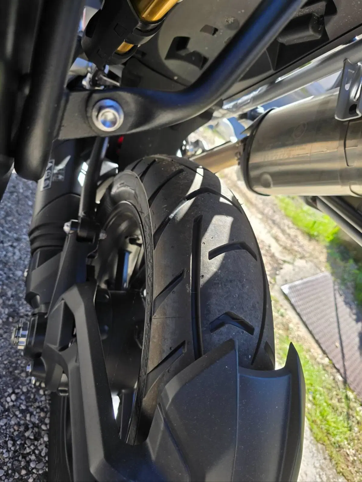 Triumph Tiger 1200 GT Pro (2022 - 23)