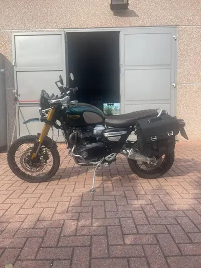 Triumph Scrambler 1200 Steve McQueen Edition (2021 - 22) usata