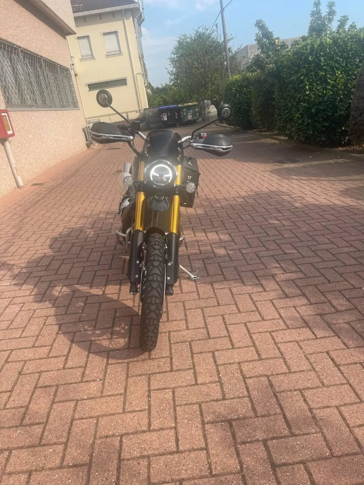 Triumph Scrambler 1200 Steve McQueen Edition (2021 - 22) (2)