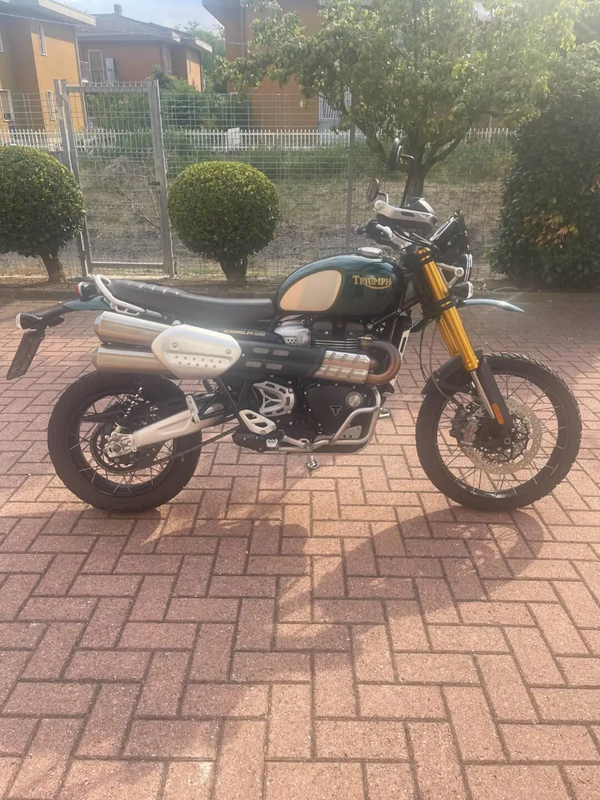 Triumph Scrambler 1200 Steve McQueen Edition (2021 - 22) (3)