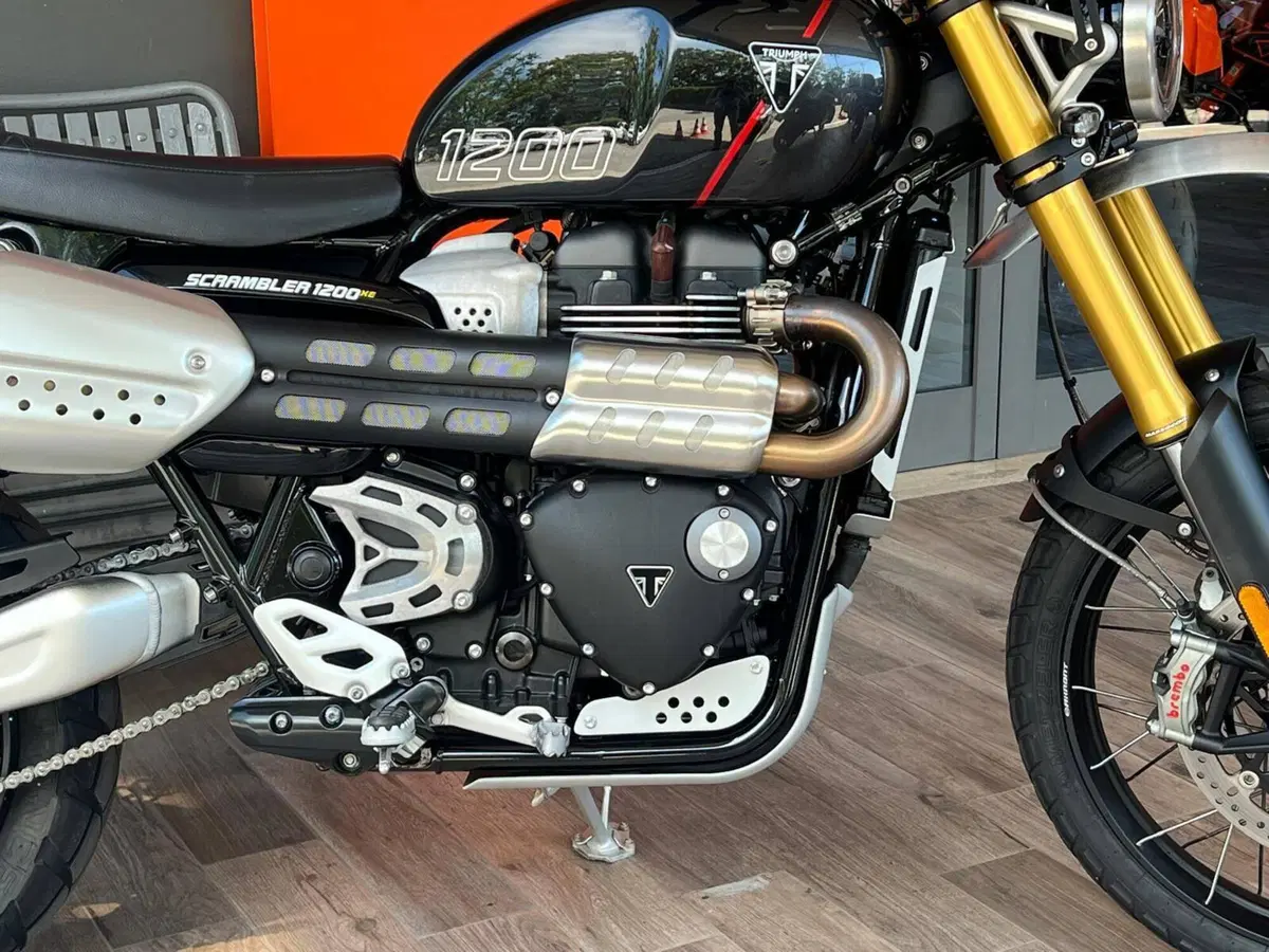 Triumph Scrambler 1200 XE (2024 - 25) (3)
