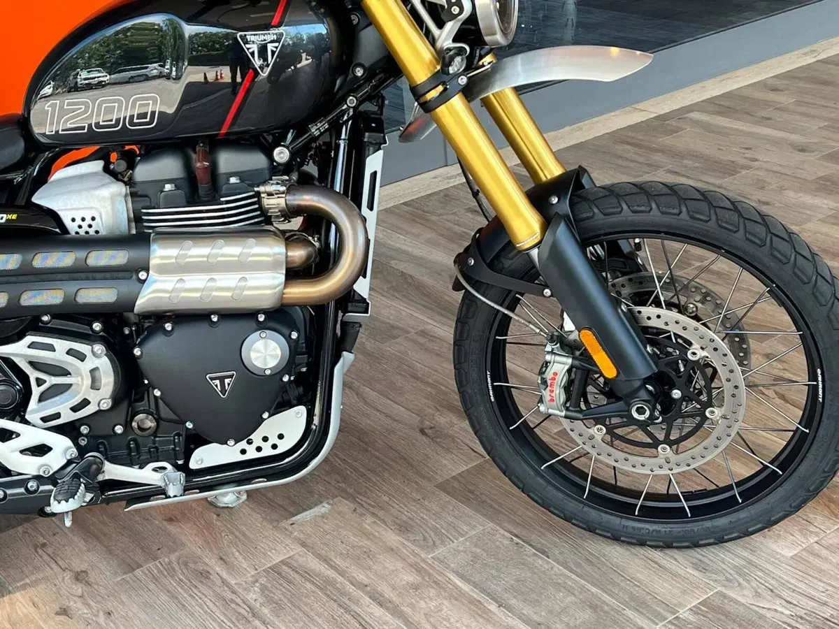 Triumph Scrambler 1200 XE (2024 - 25) (11)