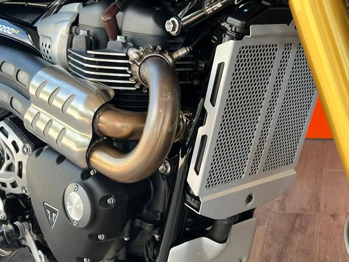 Triumph Scrambler 1200 XE (2024 - 25) (4)