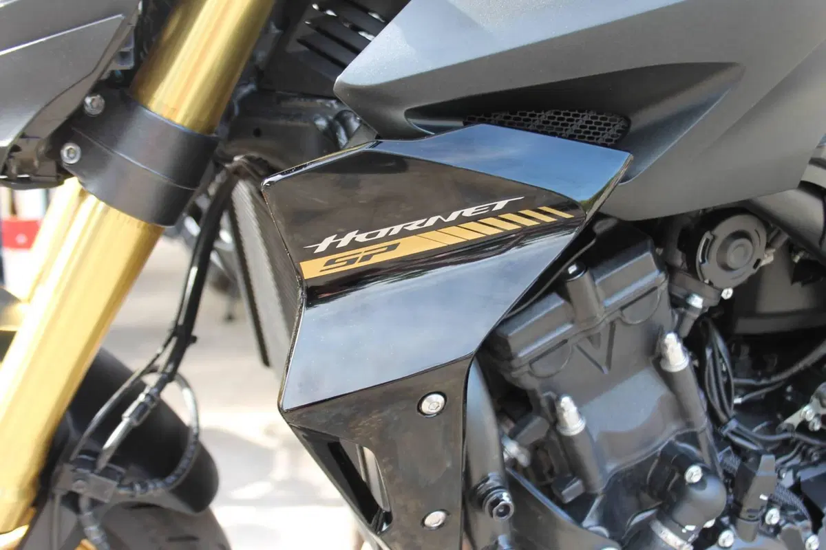Honda CB 1000 Hornet SP (2025 - 26) (3)