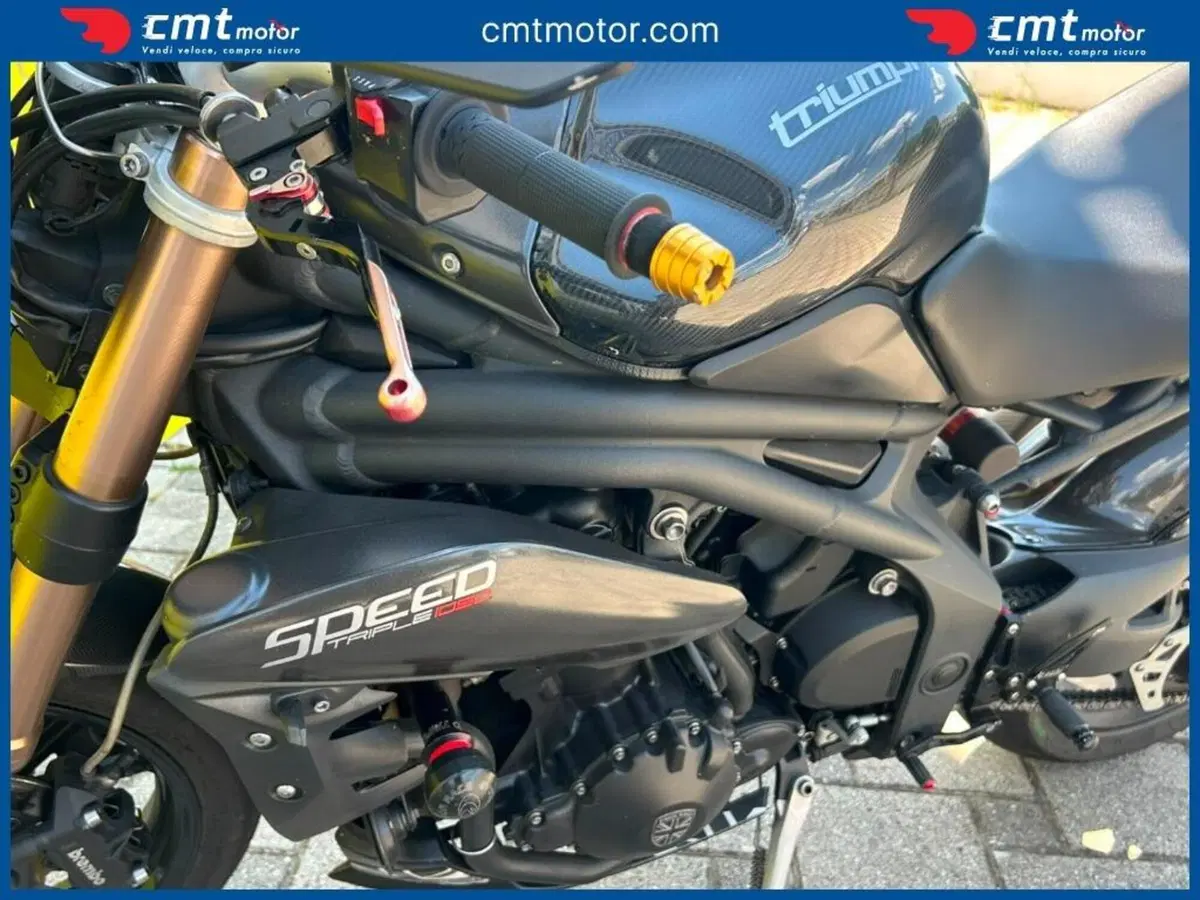 Triumph Speed Triple 1050 (2011 - 13) (5)
