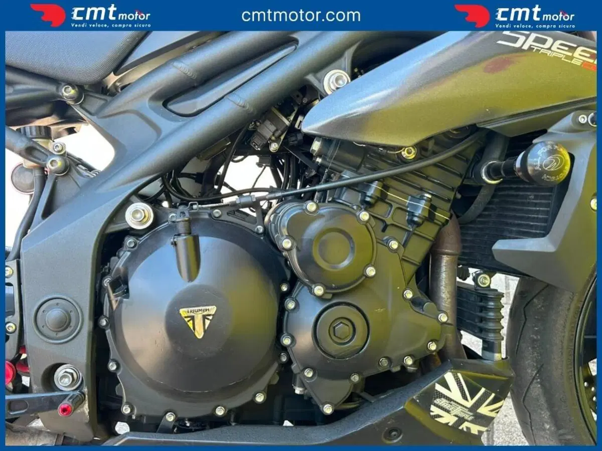 Triumph Speed Triple 1050 (2011 - 13) (8)