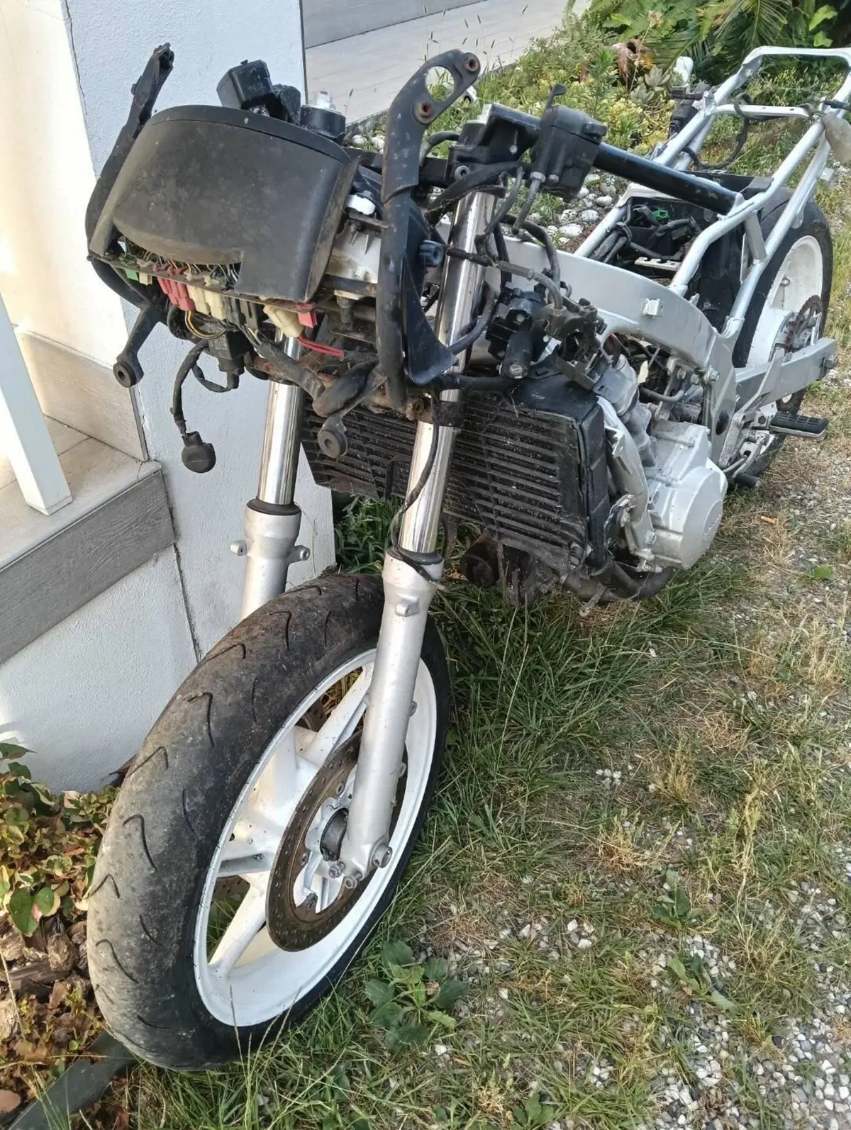 Honda Cbr (3)