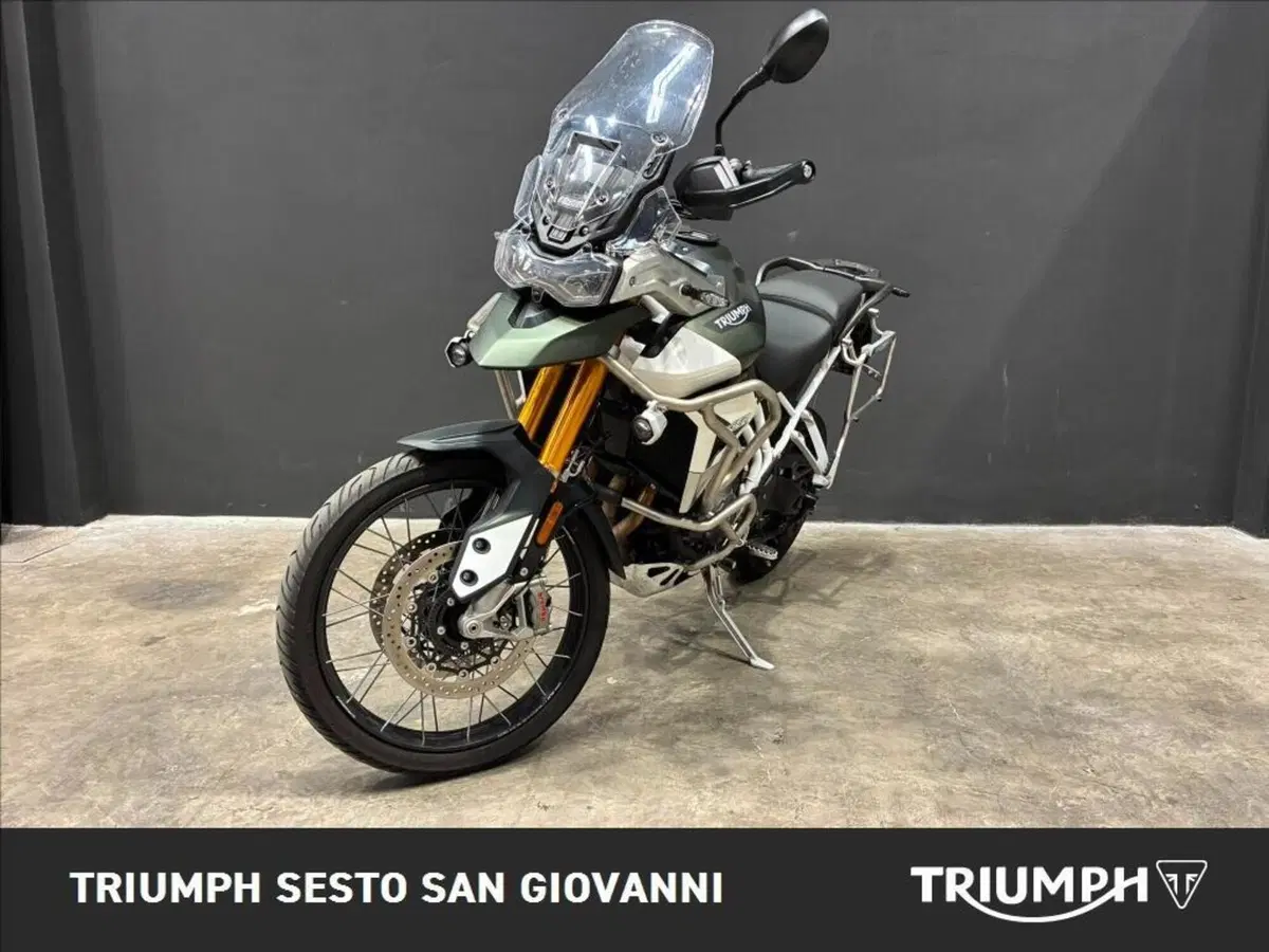 Triumph Tiger 900 Rally Pro (2020 - 23) (3)