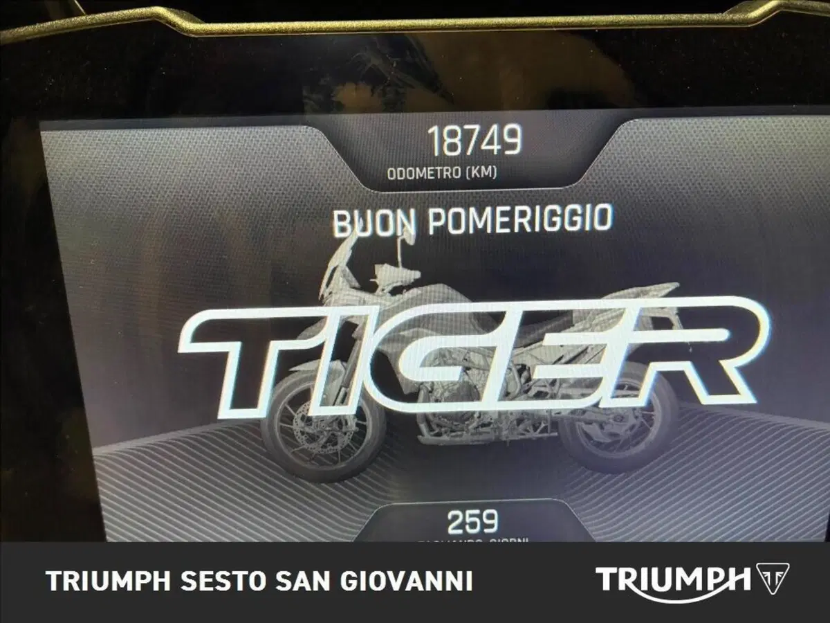 Triumph Tiger 900 Rally Pro (2020 - 23) (5)