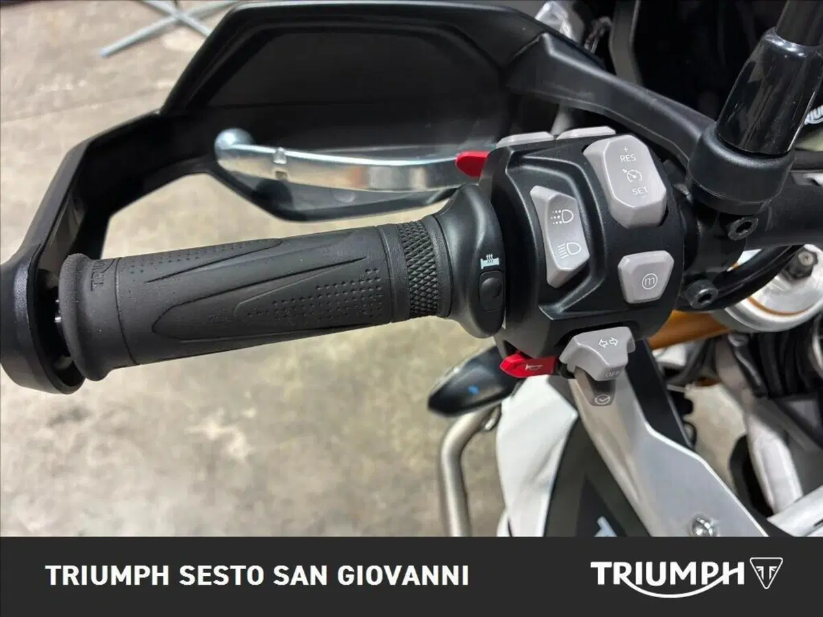 Triumph Tiger 900 Rally Pro (2020 - 23) (6)