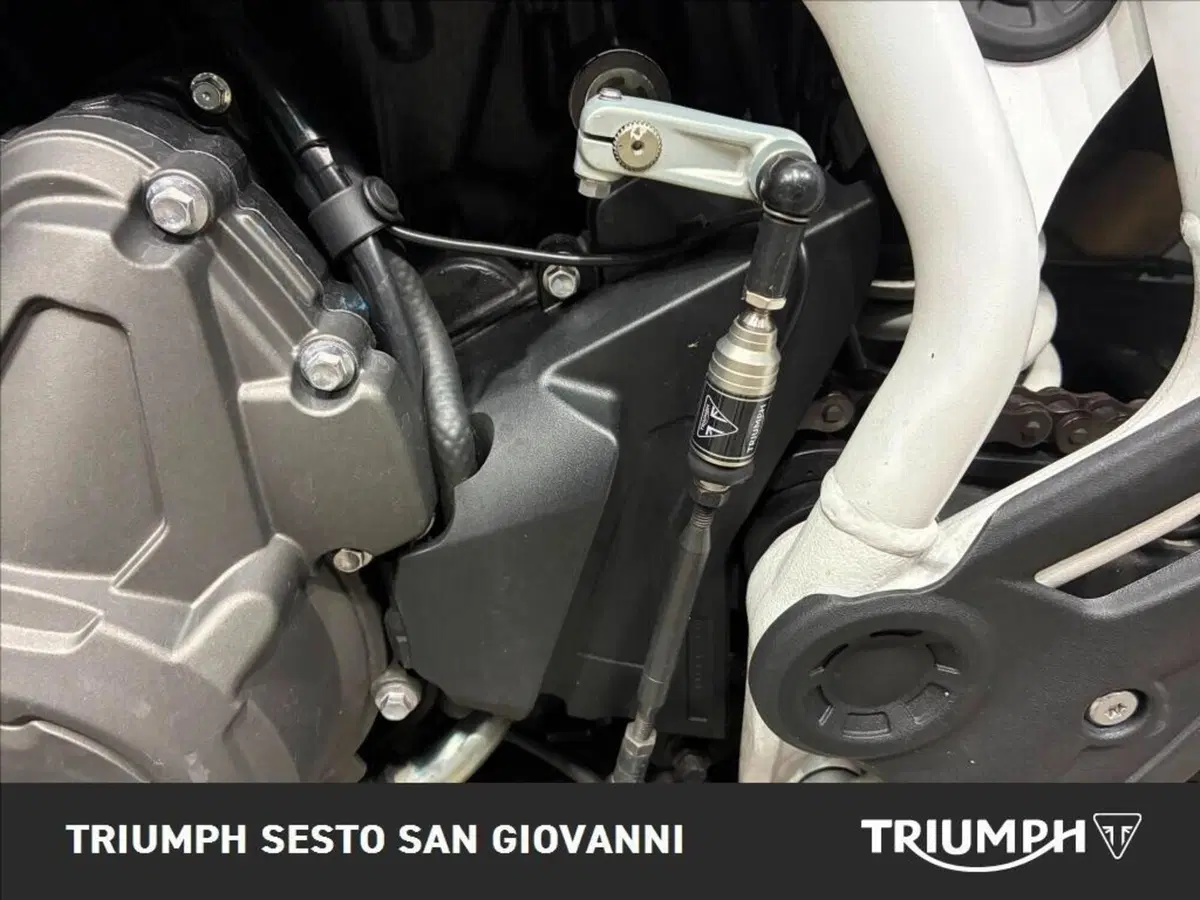 Triumph Tiger 900 Rally Pro (2020 - 23) (12)