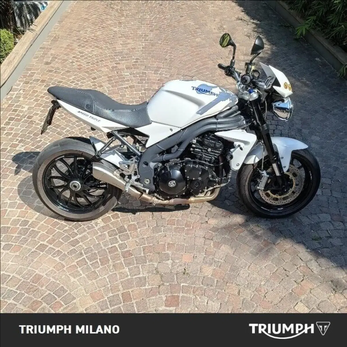 Triumph Speed Triple 1050 (2005 - 11)